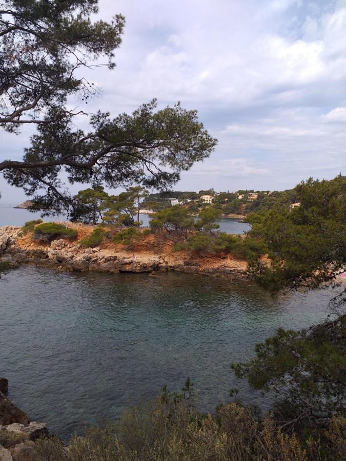 Joli Studio Res Au Calme En Rez De Jardin A Bandol. Luaran gambar